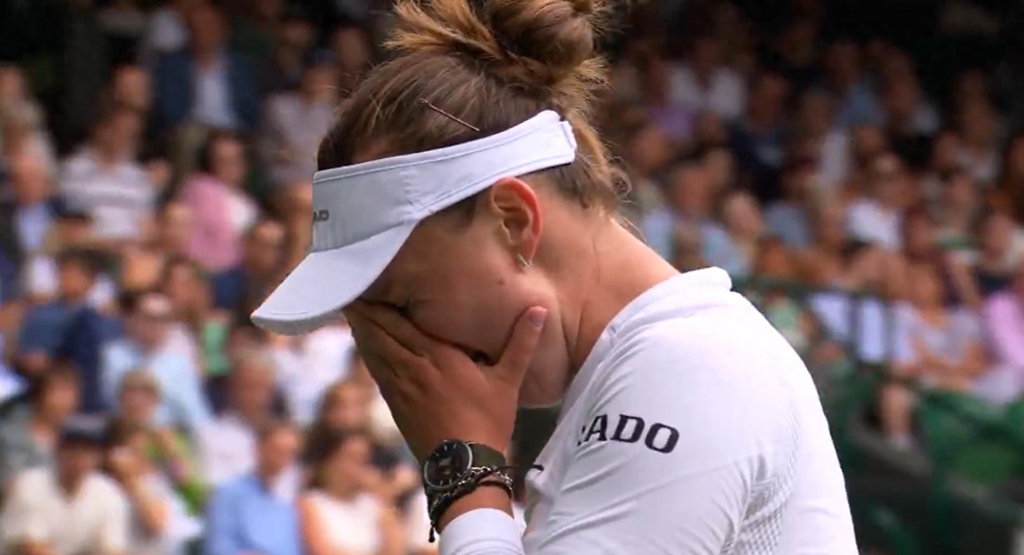 蜂鸟-包含科维托娃遭遇十连败，切尔西教练面临压力！的词条